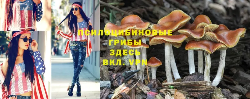 Псилоцибиновые грибы MAGIC MUSHROOMS  Островной 